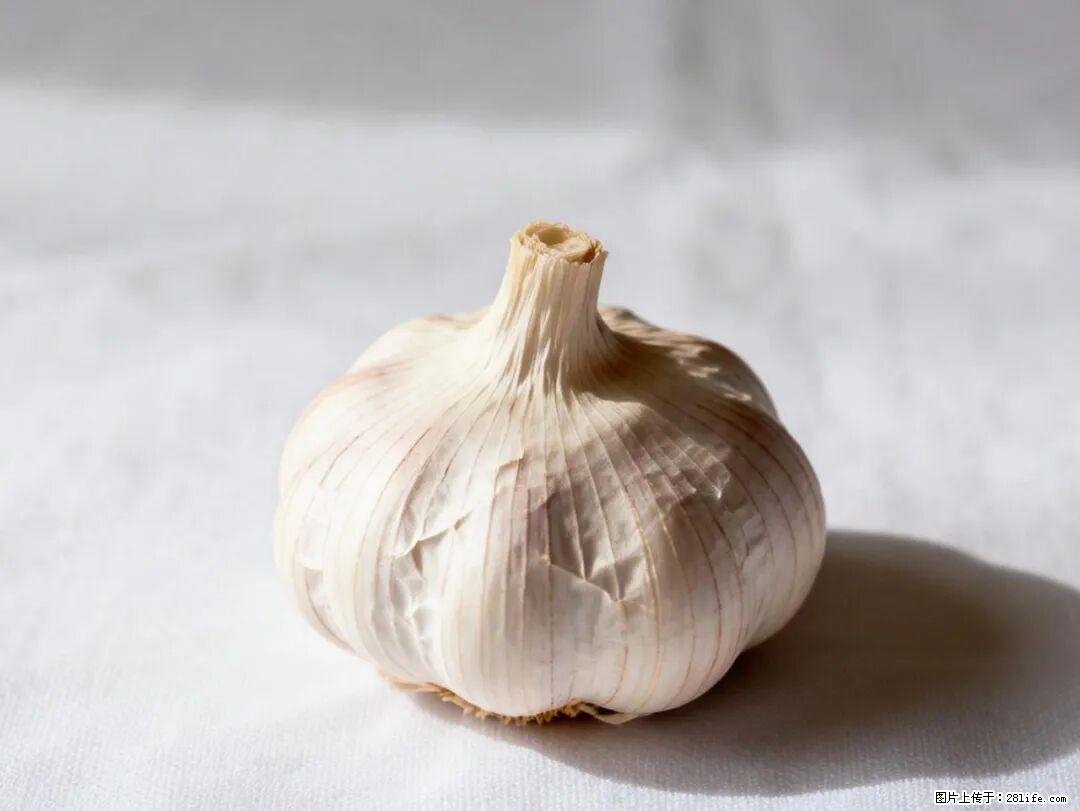 关于大蒜，除了“天然抗生素”，这4个谣言更该警惕! - 伊犁生活资讯 - 伊犁28生活网 yili.28life.com