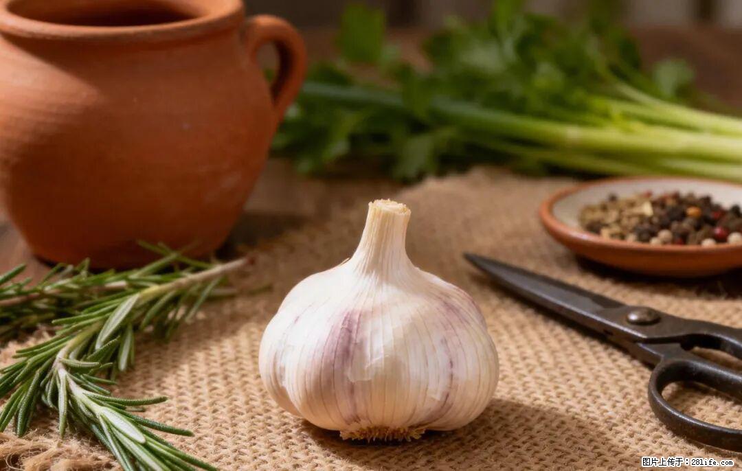 关于大蒜，除了“天然抗生素”，这4个谣言更该警惕! - 伊犁生活资讯 - 伊犁28生活网 yili.28life.com