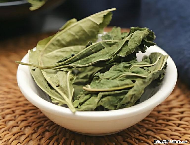 这三苦是三高“克星”，心血管干净不易堵！每天吃一点，指标慢慢降下来~ - 伊犁生活资讯 - 伊犁28生活网 yili.28life.com