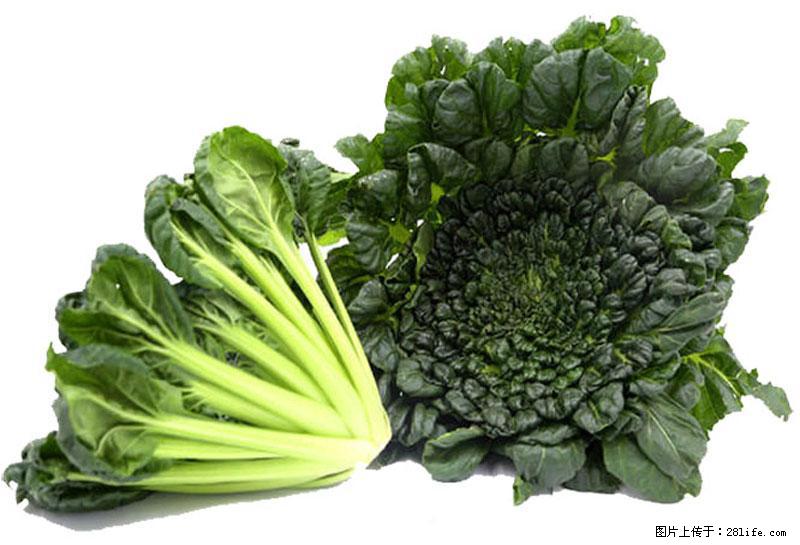 这些蔬菜是“天然钙片”，这6种被医生重点推荐 - 伊犁生活资讯 - 伊犁28生活网 yili.28life.com