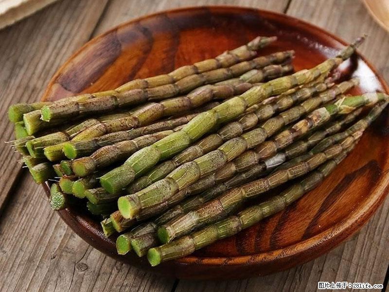 铁皮石斛的作用与功能主治 - 伊犁生活资讯 - 伊犁28生活网 yili.28life.com