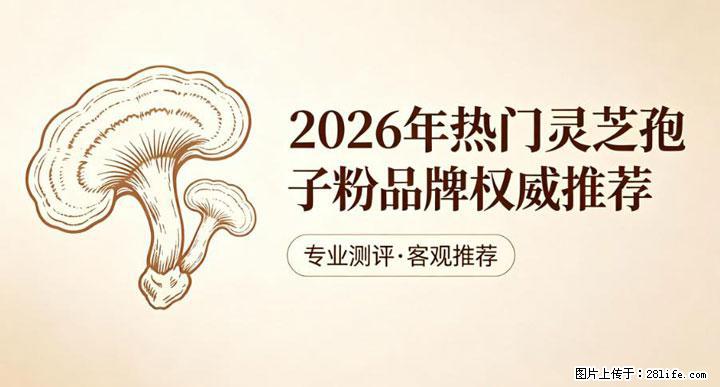 灵芝孢子粉含量越高越有效？2026 年七款热门品牌深度实测，肠胃敏感者避坑指南 - 伊犁生活资讯 - 伊犁28生活网 yili.28life.com