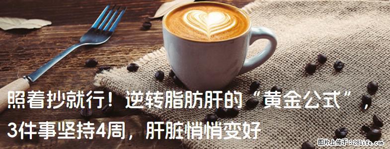 照着抄就行！逆转脂肪肝的“黄金公式”，3件事坚持4周，肝脏悄悄变好 - 伊犁生活资讯 - 伊犁28生活网 yili.28life.com